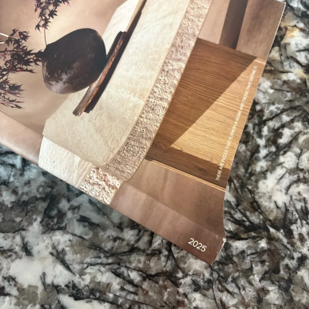 Restoration Hardware Modern 2025 Catalog Sourcebook